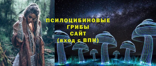 PSILOCYBIN Братск