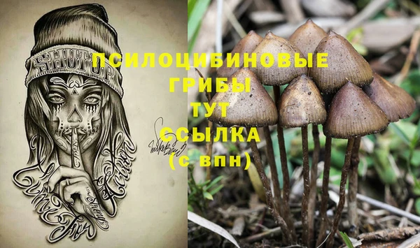 PSILOCYBIN Братск
